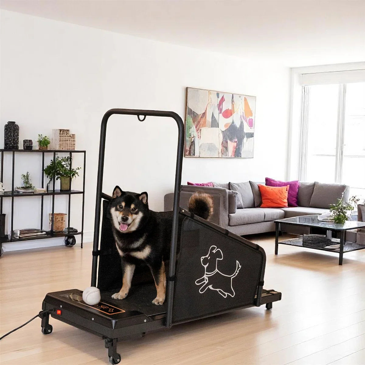 Electric Dog Treadmills