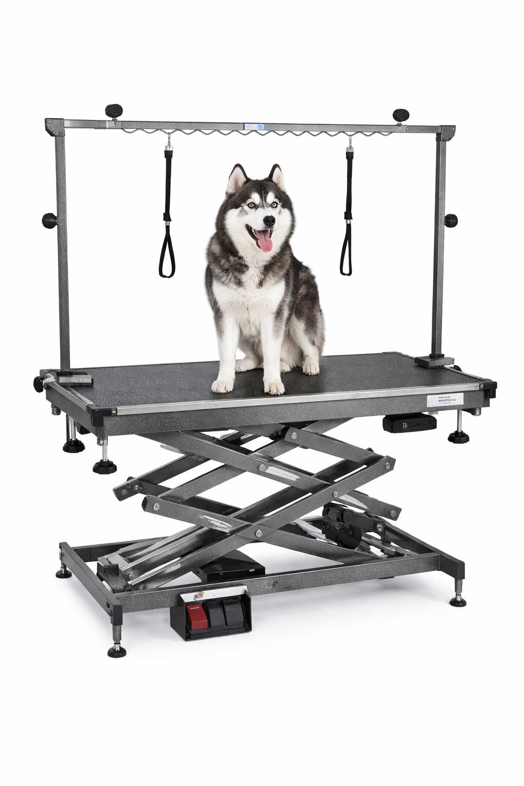 Master Equipment X-Tend PRO II Electric Dog Grooming Table