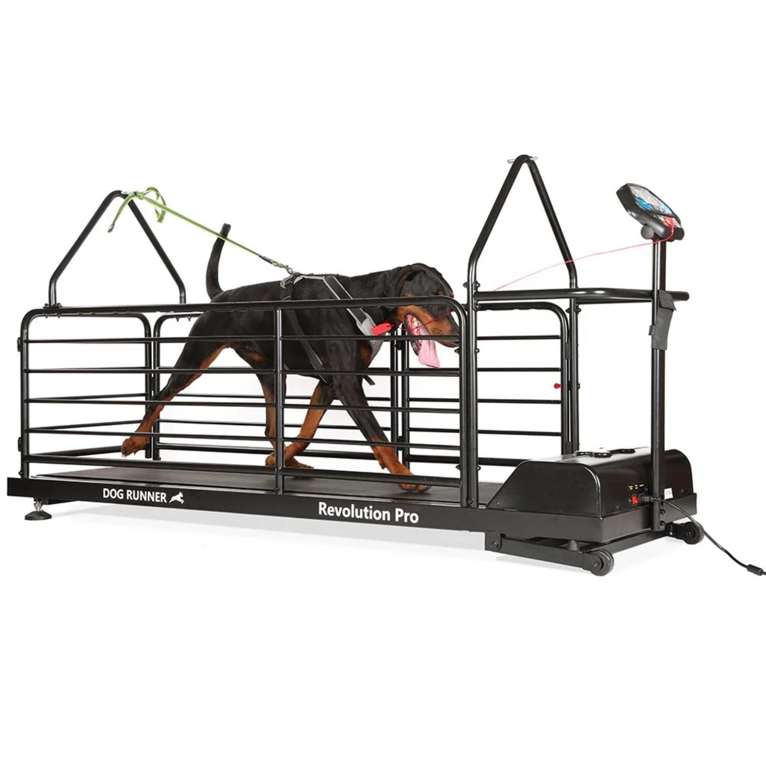 Pet Direct HQ Dog Erie Pro Electric Treadmill