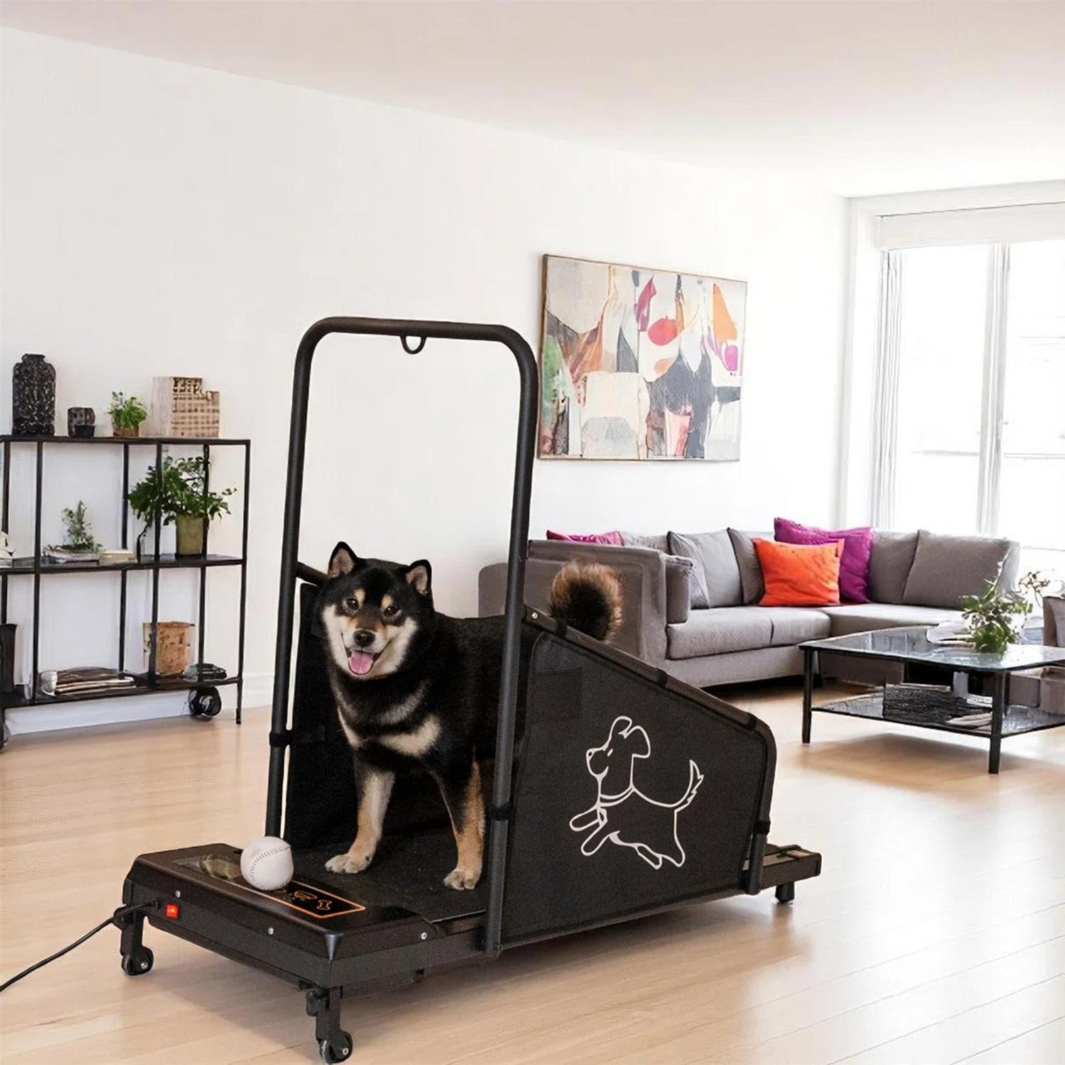Dog Treadmill Run Walk for Medium Small Dogs, Pets Pacer Treadmill for Healthy