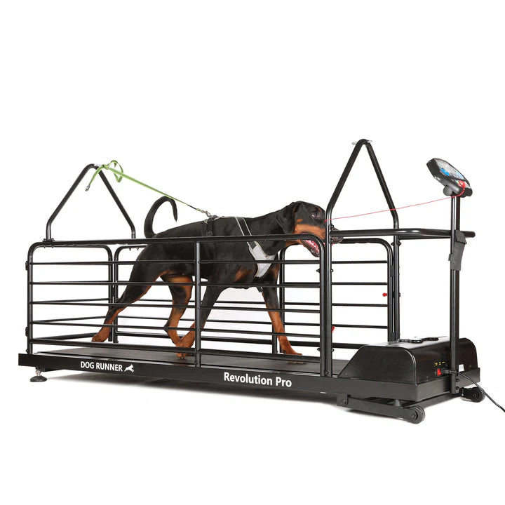 Dog Runner Treadmill Revolution Pro