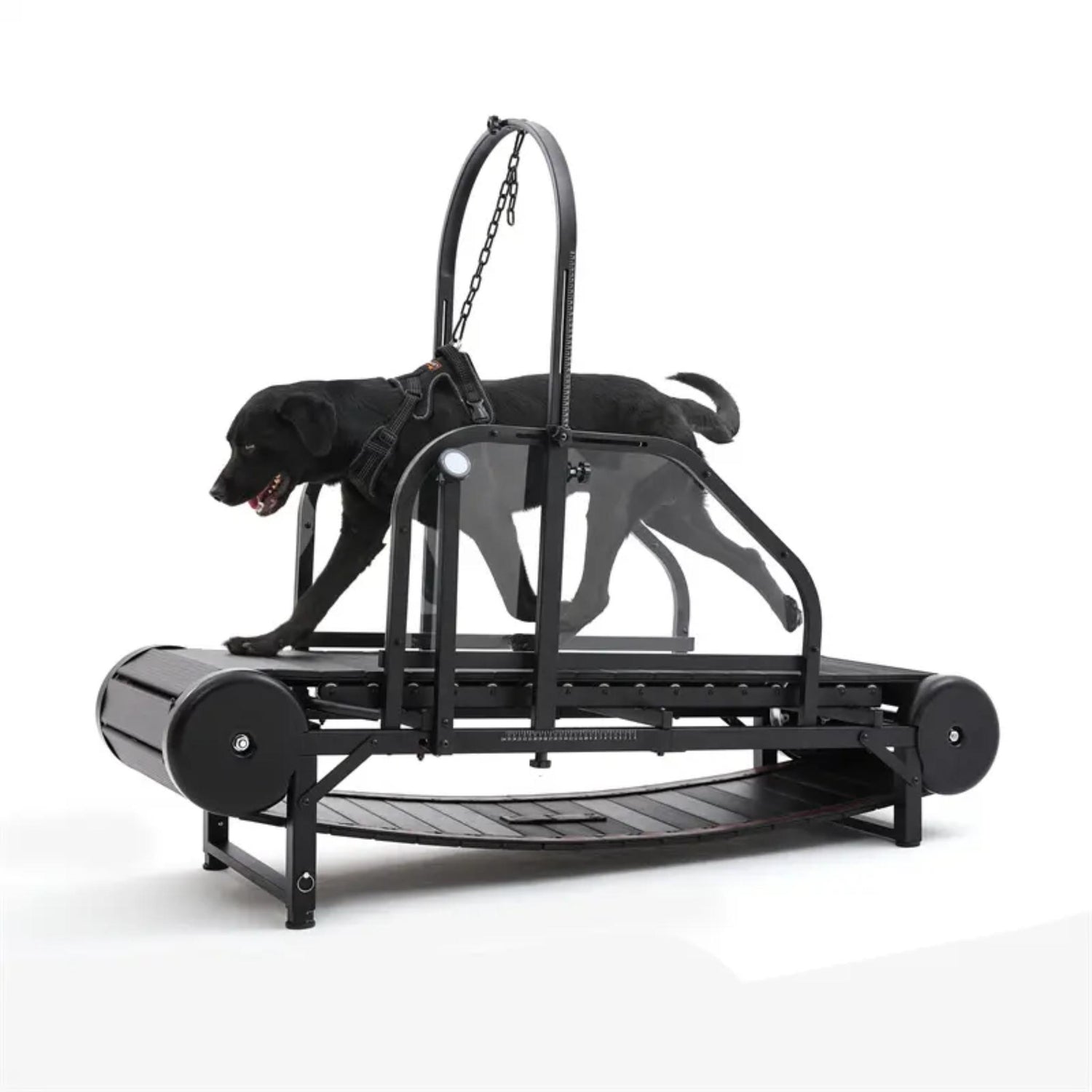 Dog Trotter Treadmill