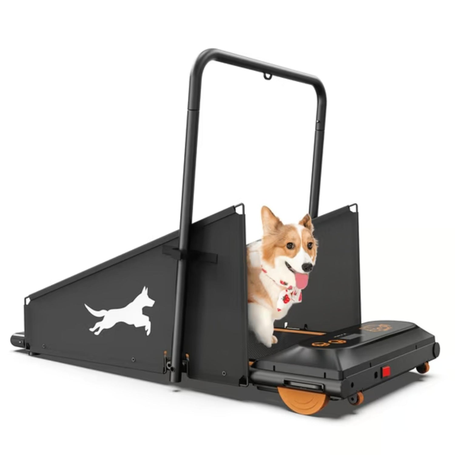 Small Dog Treadmill